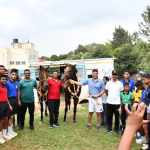New Horses to the School